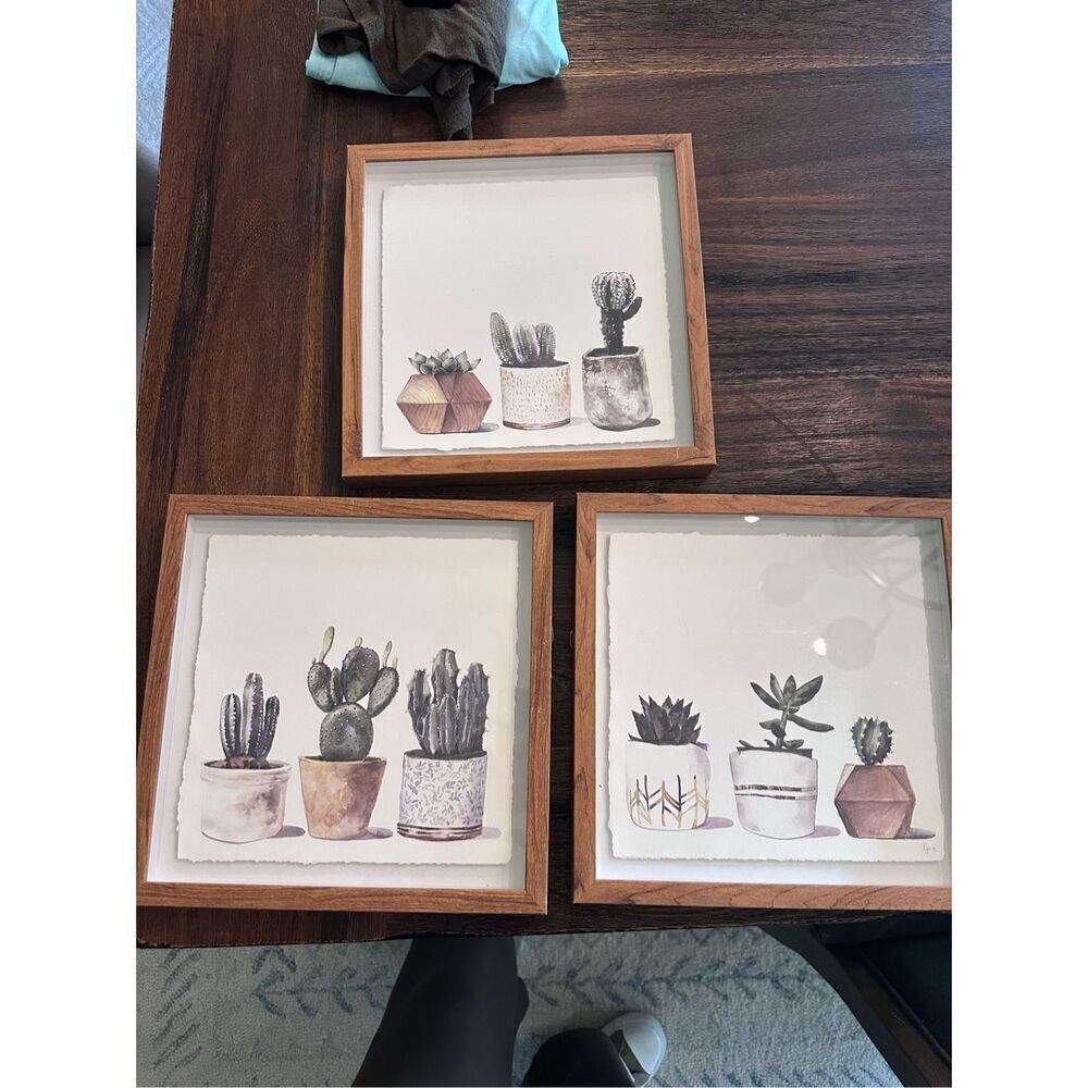 Set of 3 potted succulent prints